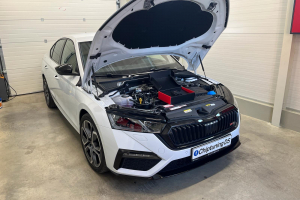 chiptuning ds 66